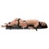 You2Toys - Bondage Board - kannettava sidontasetti (13 osaa)