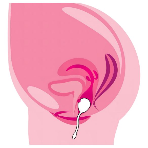 You2Toys - kauko-ohjattava vibraatiomuna - ladattava - violetti