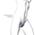 Love to Love Wonderlover - klitoriksen ja G-pisteen vibraattori (tumman violetti)