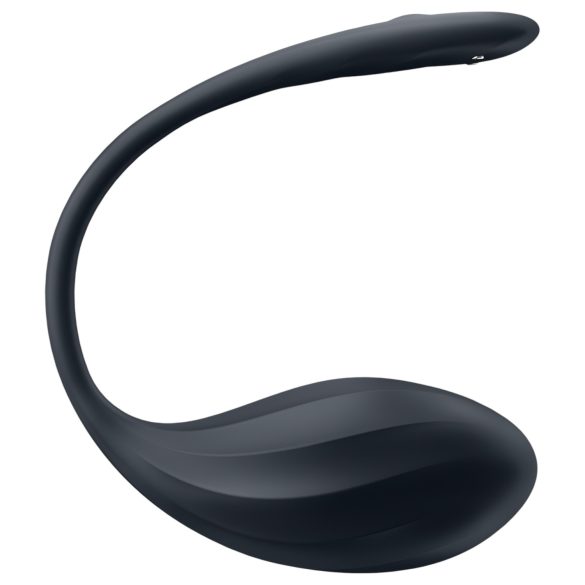 Satisfyer Aalto - radio-ohjattava vibraatio muna (musta)