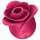 Satisfyer Pro 2 Rose - modern klitoriskiihotin (punainen)