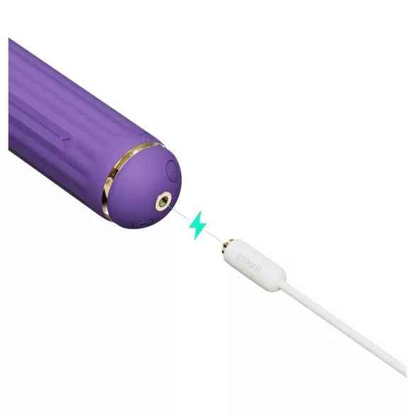 Magic Stick S1 - monikäyttöinen vibraattori - violetti