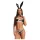 Obsessive Night Bunny - neliosainen pupuasu naisille (musta)