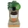 Coconutoil - luonnonmukainen rusketusöljy - 80 ml