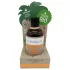 Coconutoil - luonnonmukainen rusketusöljy - 80 ml
