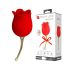 Pretty Love Rose - 2in1 kielivibraattori (punainen)
