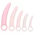CalExotics Inspire - emätindilaattorisetti - terveys - pinkki