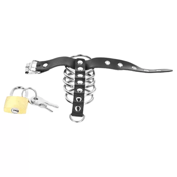 Kink - penisrengas metallirenkailla - musta