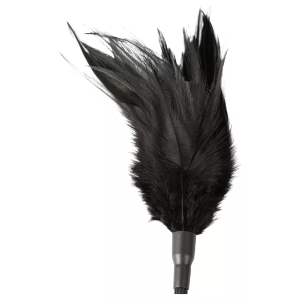 Sei Mio - piiska ja silittäjä - musta