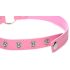 Master Series Kinky Kitty - kaulapanta kissariipuksella (pinkki)