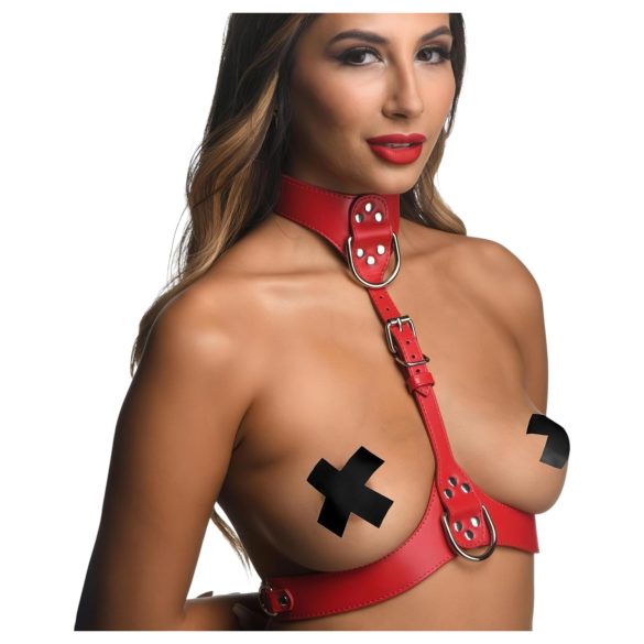 Tiukka kaulahihna punainen harness - M/L