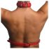 Tiukka kaulahihna punainen harness - M/L