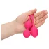 Loveline - Kegel-pallot setti - painotettu - 2 osaa - pinkki