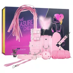   Secret Pleasure Chest - edistynyt BDSM‑setti - 14 osaa (pinkki)