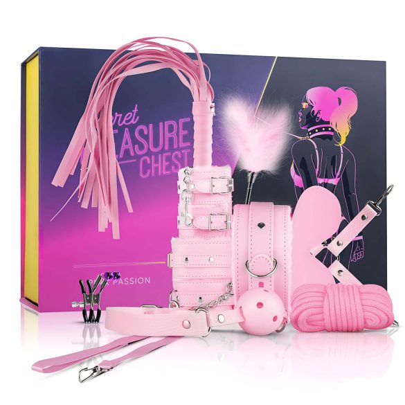Salainen Nautintolipas - edistynyt BDSM-sarja - 14-osainen (pinkki)