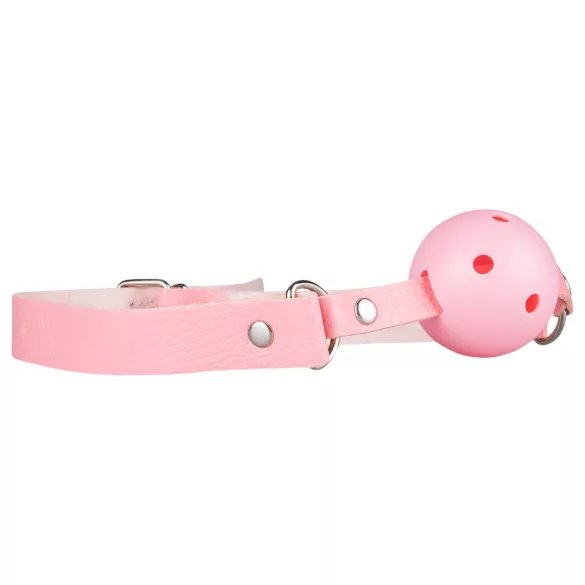 Secret Pleasure Chest - BDSM-setti edistyneille - 14 osaa - pinkki