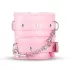 Secret Pleasure Chest - BDSM-setti edistyneille - 14 osaa - pinkki