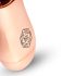 Rosy Gold Mini Wand - ladattava, rosegold-hierontavibraattori