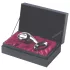 Njoy Pure Plug 2.0 - metallinen anustappi (hopea)