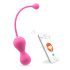 Magic Motion Kegel Master - Fiksu geishakuuladuo (lila)
