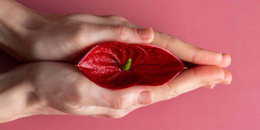 Klitoriksen stimulointi huomaamattomalla nautintolelulla, lovesexshop.fi seksikauppa